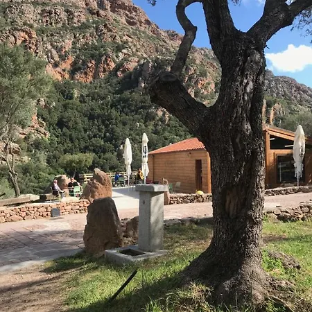 Carrubo Villa Valledoria (Sardinia)